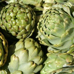 Artiskok <br>�Mix�<br><i>Cynara scolymus</i> 