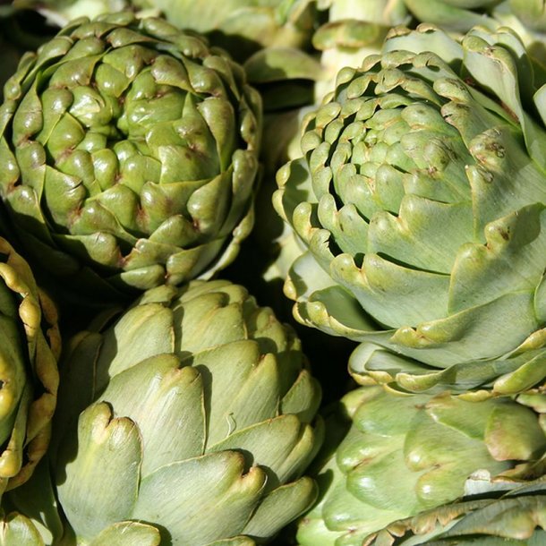 Artiskok <br>�Mix�<br><i>Cynara scolymus</i> 