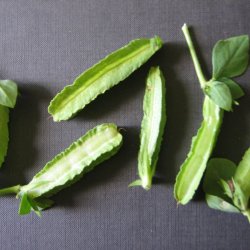 Aspargesrt <br><i>Tetragonolobus purpureus</i>