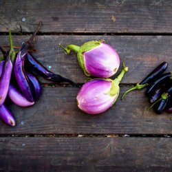 Aubergine Mix<br> <i>Solanum melongena/integrifolium/aethiopicum/melongena</i> 