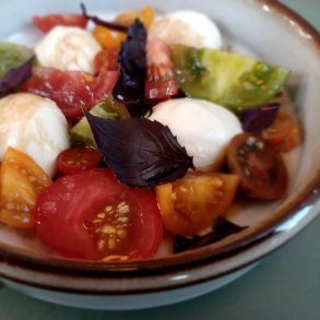 Basilikum <br>'Petra Rubin' <br><i>Ocimum basilicum</i>