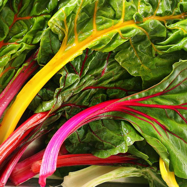 Bladbede 'Mix' <br><i>Beta vulgaris var. cicla/flavescens </i>