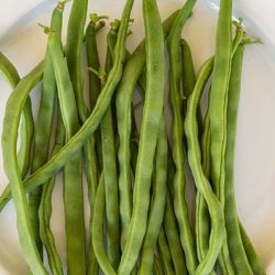 Bnne, Stang- <br>'Easy-peasy' -<br> 'Lazy Housewife' <br><i>Phaseolus vulgaris</i>