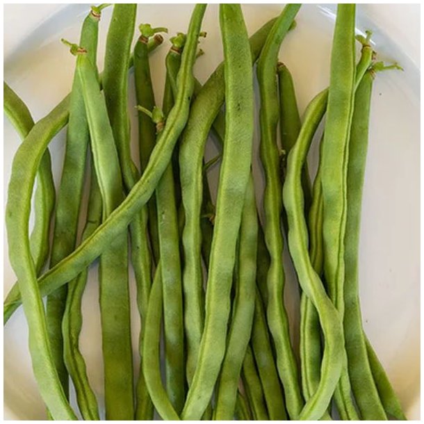 Bnne, Stang- <br>'Easy-peasy' -<br> 'Lazy Housewife' <br><i>Phaseolus vulgaris</i>