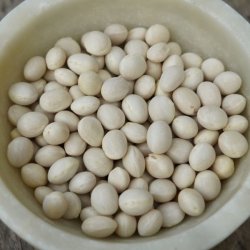 Bnne, Stang- <br>'Easy-peasy' -<br> 'Lazy Housewife' <br><i>Phaseolus vulgaris</i>