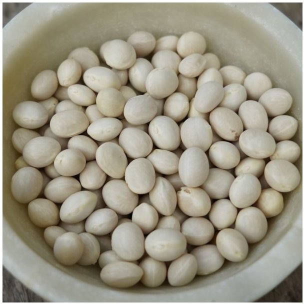 Bnne, Stang- <br>'Easy-peasy' -<br> 'Lazy Housewife' <br><i>Phaseolus vulgaris</i>