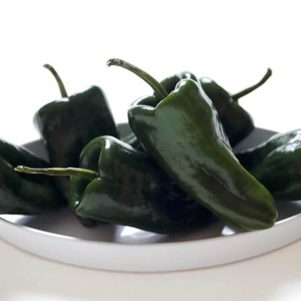 Peber <br>'Ancho'<br><i>Capsicum annuum</i>