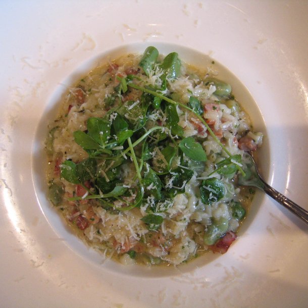 Brndkarse, <br>tykskulpet <br><i>Nasturtium officinale</i> 