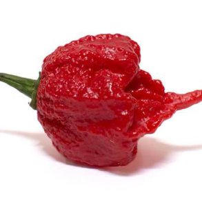 Chili <br>'Carolina Reaper' <br><i>Capsicum chinense</i>