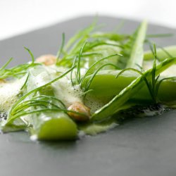 Aspargessalat, celtuce <br><i>Lactuca sativa var. augustana</i>