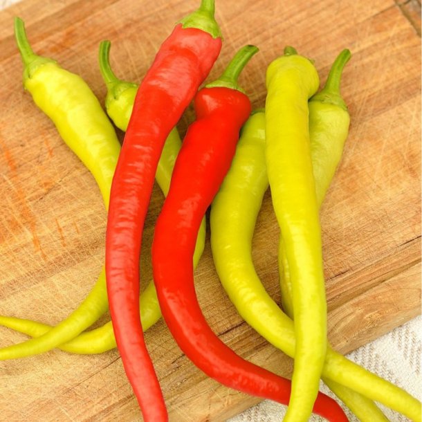Chili <br>'Dracula'<br><i>Capsicum annuum</i>