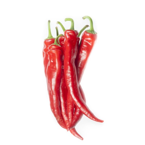 Chili <br>'Dracula'<br><i>Capsicum annuum</i>