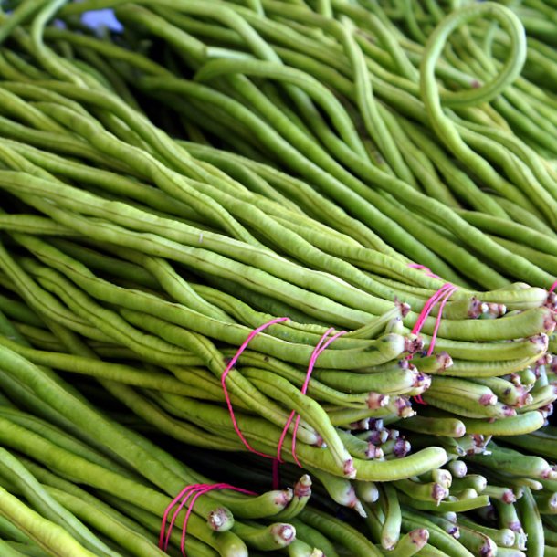 Meterbnne, <br>spaghettibnne<br><i>Vigna unguiculata ssp. sesquipedalis</i>