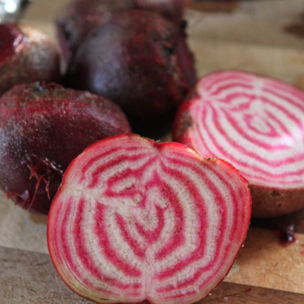 Rdbede <br>'Chioggia'<br><i>Beta vulgaris</i>