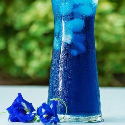Clitoria, sommerfuglert/<br>Butterfly Pea <br><i>Clitoria ternatea </i>