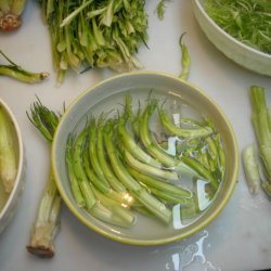 Puntarelle di Galatina, <br>Cikoriesalat<br><i>Cichorium intybus</i>