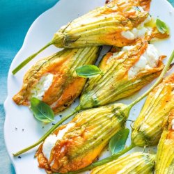 Courgette, squash, zucchini<br>'Radu'<br><i>Cucurbita pepo</i>