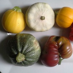 Courgette, squash, zucchini<br>Mix<br><i>Cucurbita pepo</i>