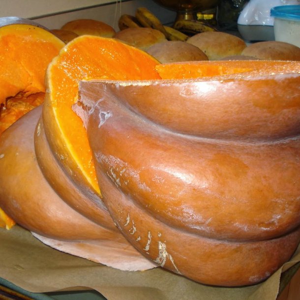 Grskar <br>'Musquee de Provence' <br><i>Curcubita moschata</i>