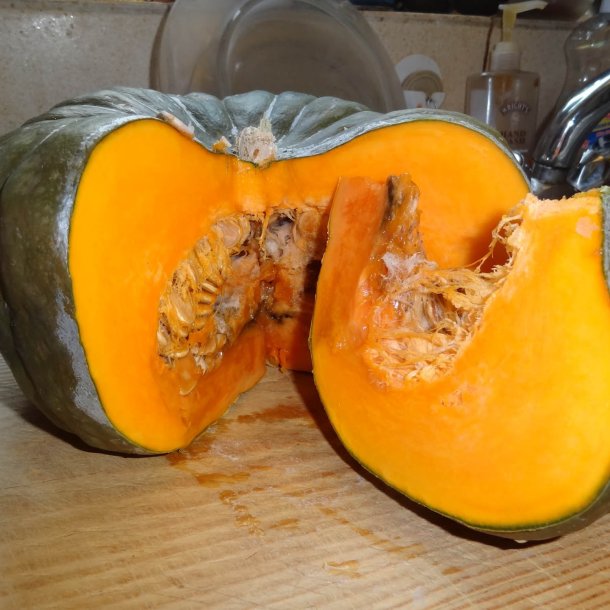 Grskar <br>'Queensland Blue' <br><i>Cucurbita maxima</i>