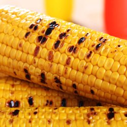 Majs, Sukker- <br>'Tasty Sweet' F1 <br><i>Zea mays convar. saccharata</i>