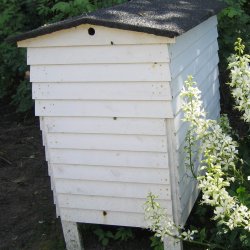 Blomstermix <br>'Bismag'<br><br>