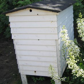 Blomstermix <br>'Bismag'<br><br>