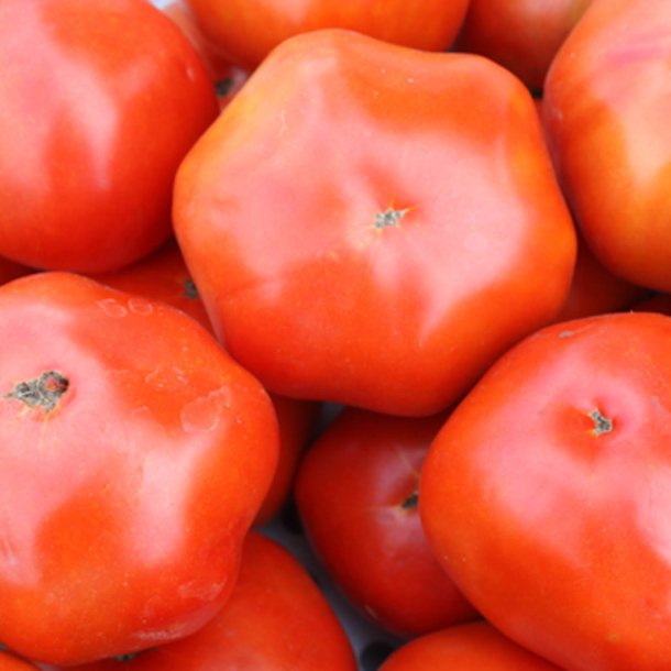 Tomat <br>'Druzba' <br><i>Lycopersicon esculentum</i>