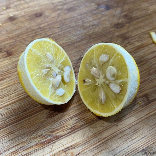 Dvrgcitron, Trebladet <br>- Bitterorange <br><i>Poncirus/Citrus trifoliata</i>