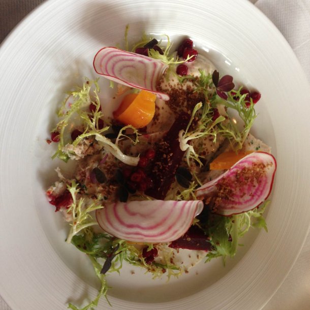 Rdbede <br>'Chioggia'<br><i>Beta vulgaris</i>