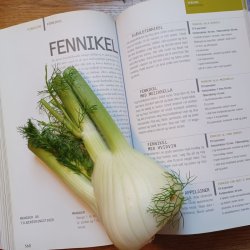 Fennikel, Knold- <br>'Vulgare Dulce'<br><i>Foeniculum vulgare var. azoricum</i>