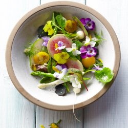 Spiselig <br>blomsterblanding<br><br>