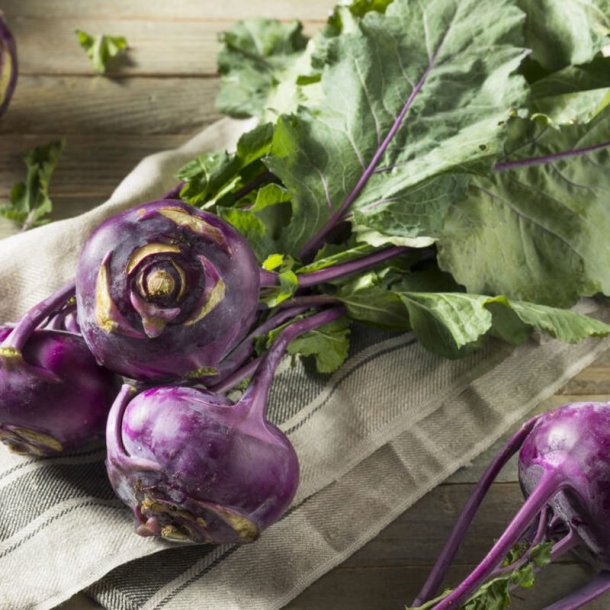 Glaskl, knudekl <br>'Delicacy Purple' <br><i> Brassica oleracea L. var. gongylodes</i>