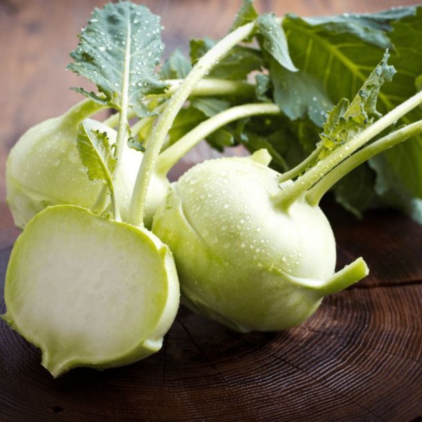 Glaskl, knudekl <br>'Delicacy White' <br><i> Brassica oleracea L. var. gongylodes</i>