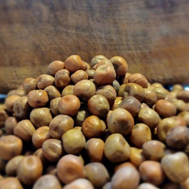 �rt, Gr�- <br>'Sirius' <br><i>Pisum sativum</i>