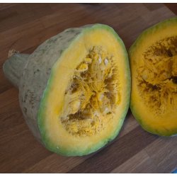 Grskar <br>'Blue Hubbard'<br><i>Cucurbita maxima</i>