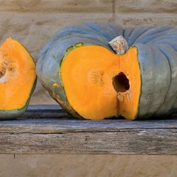Gr�skar �Mix� <br><i>Cucurbita maxima/pepo/ moschata/ ficifolia</i>