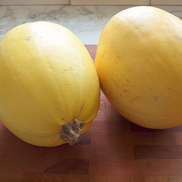 Gr�skar �Mix� <br><i>Cucurbita maxima/pepo/ moschata/ ficifolia</i>
