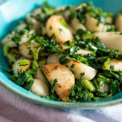 Hakurei, Japansk majroe <br>'Tokyo Cross' F1 <br><i> Brassica rapa var rapifera</i>