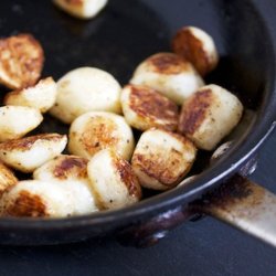 Hakurei, Japansk majroe <br>'Tokyo Cross' F1 <br><i> Brassica rapa var rapifera</i>