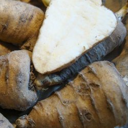 Hulsv�b, Knoldet - <br> K�rvelrod <br><i>Chaerophyllum bulbosum</i> 