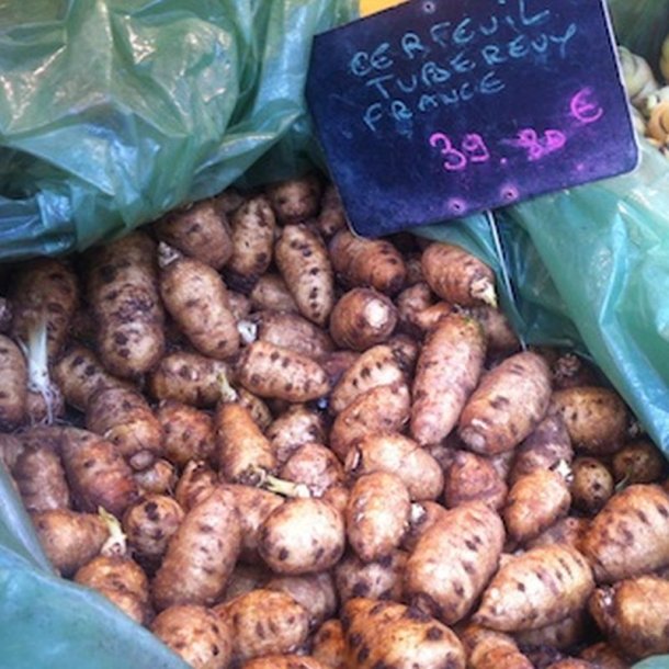 Hulsv�b, Knoldet - <br> K�rvelrod <br><i>Chaerophyllum bulbosum</i> 