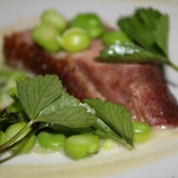 Skotsk lostilk <br><i>Ligusticum scoticum</i><br><br>