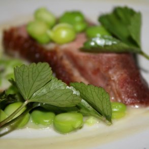 Skotsk lostilk <br><i>Ligusticum scoticum</i><br><br>