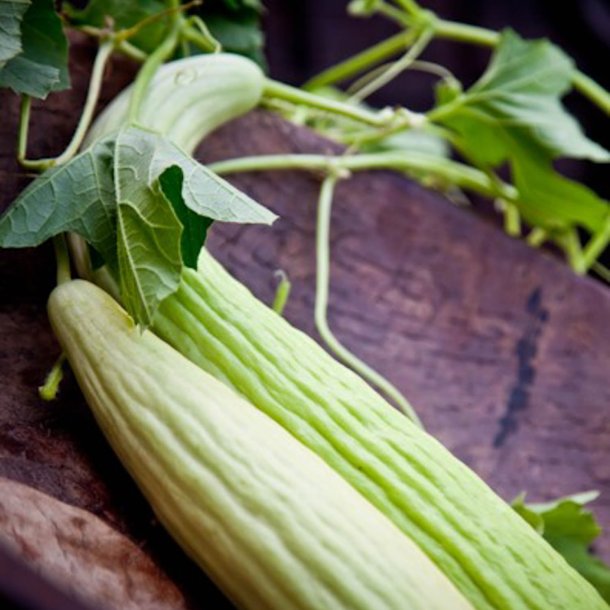 Agurk <br>'Armenian Yard Long' <br><i>Cucumis melo var. flexuosus</i>