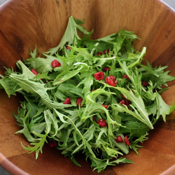 Mizuna, grn<br>Sheriff F1<br><i>Brassica rapa spp. nipposinica</i>