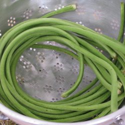 Meterbnne, <br>spaghettibnne<br><i>Vigna unguiculata ssp. sesquipedalis</i>