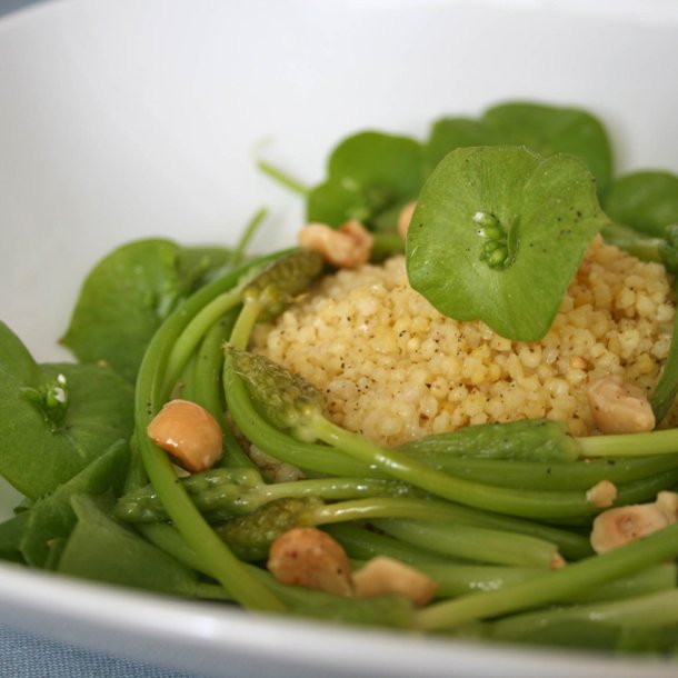 Asparges, Vild - <br>Pyrenisk fuglemlk<br><i>Ornithogalum pyrenaicum</i>