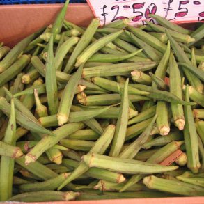 Okra <br>'Emerald' <br><i>Abelmoschus esculentus</i> 