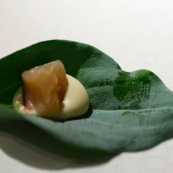 stersurt, <br>hestetunge <br><i>Mertensia maritima</i>